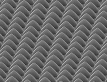 �D�λ��{(l��n)��ʯ�r��SEM��ҕ�D