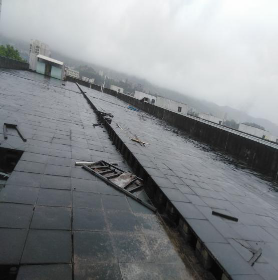 圖片2.png 圖片2.png