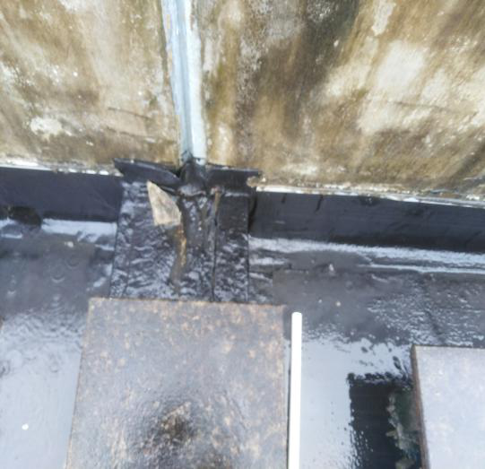 圖片3.png 圖片3.png