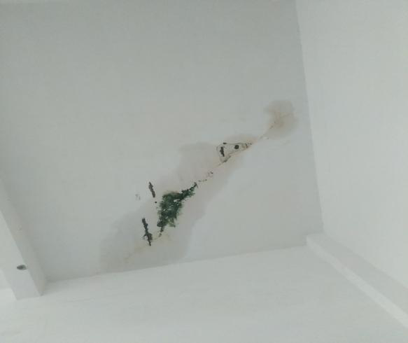 圖片5.png 圖片5.png