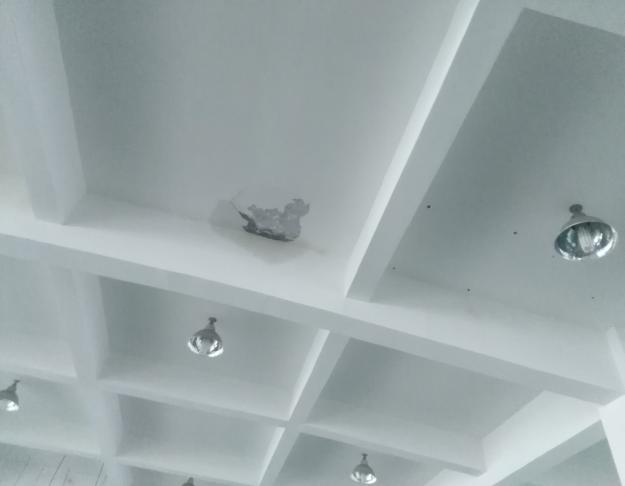 圖片7.png 圖片7.png