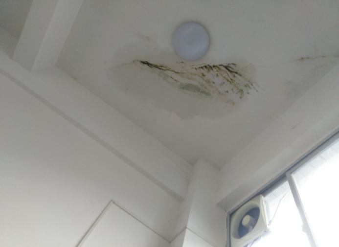 圖片8.png 圖片8.png