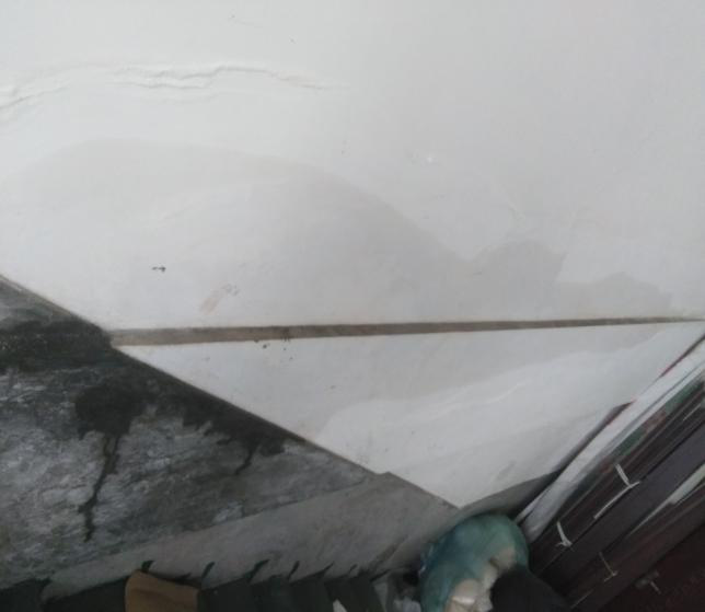 圖片10.png 圖片10.png