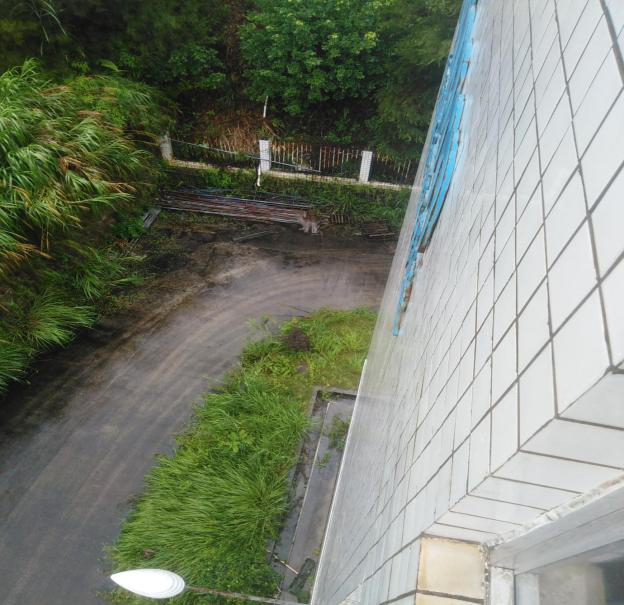 圖片11.png 圖片11.png